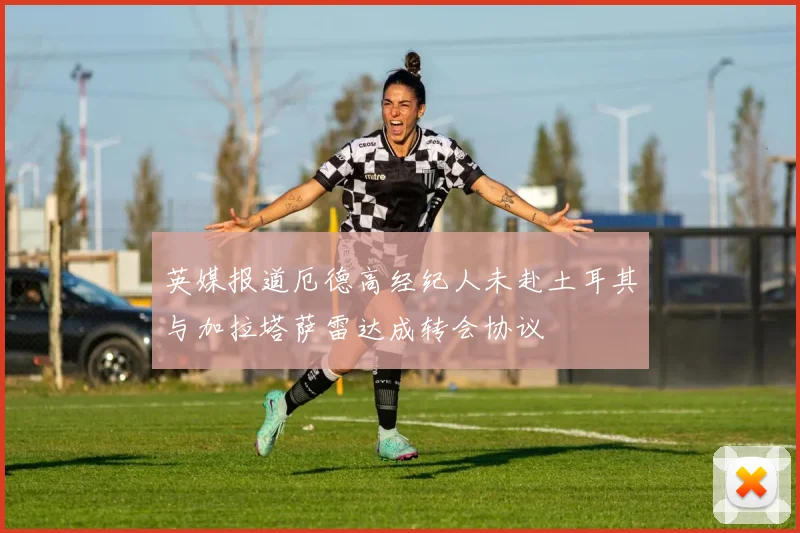 英媒报道厄德高经纪人未赴土耳其与加拉塔萨雷达成转会协议