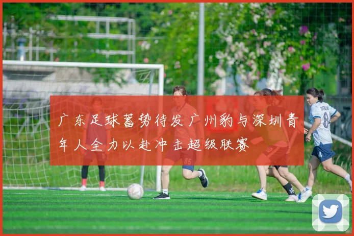 广东足球蓄势待发广州豹与深圳青年人全力以赴冲击超级联赛