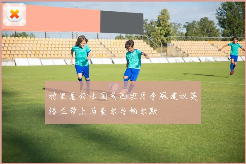 特里看好法国或西班牙夺冠建议英格兰带上马奎尔与帕尔默
